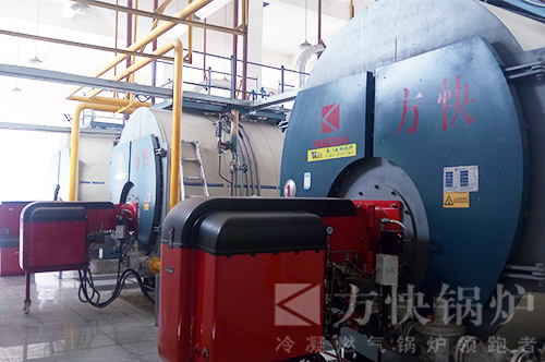 河北達利園食品加工燃氣蒸汽鍋（guō）爐案例