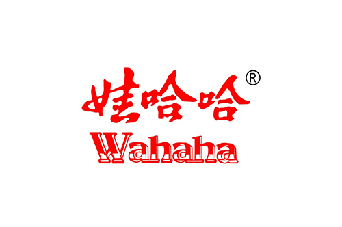 洛陽娃哈哈食品加工燃（rán）氣蒸汽鍋爐案（àn）例