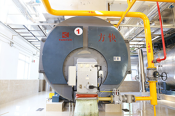 利民製藥有限公司4噸一（yī）體燃氣蒸汽鍋爐案例