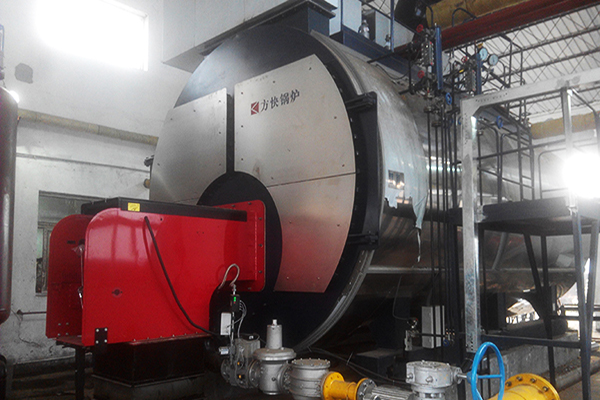 力邦製藥有限公司6噸一體（tǐ）燃氣蒸汽鍋爐案例