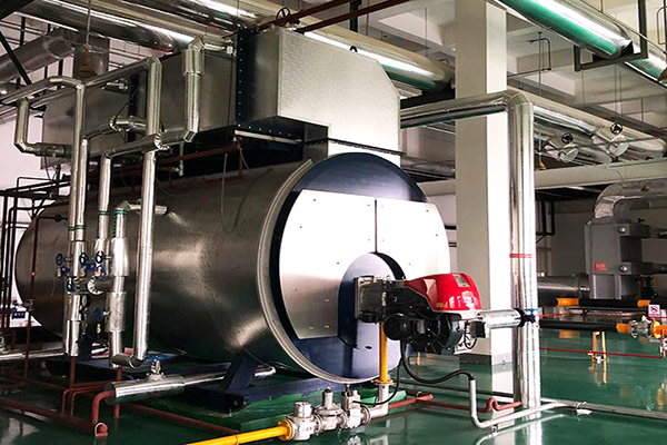 北（běi）汽黑豹（bào）股份有限公司6噸一體冷凝燃氣蒸汽鍋爐案例