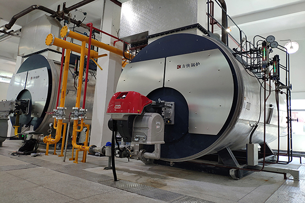 露露股份20噸一體冷凝燃（rán）氣蒸汽鍋爐案例