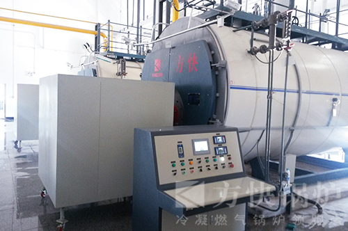 蘑菇传媒视频燃油氣蒸汽鍋爐案例