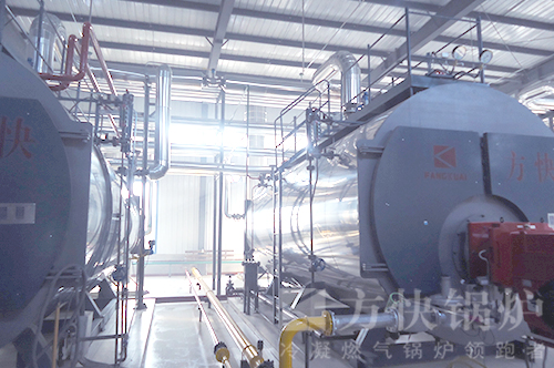 農牧行業燃油氣蒸汽鍋爐案例
