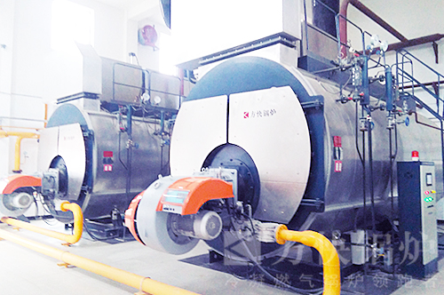 蘑菇传媒视频（kuài）燃油氣熱水鍋爐案例