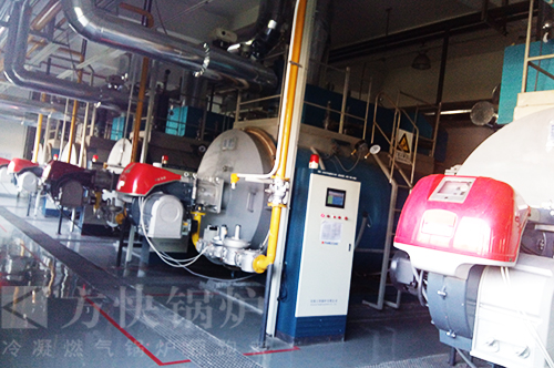 蘑菇传媒视频（kuài）一體冷凝燃油氣熱水鍋爐案例