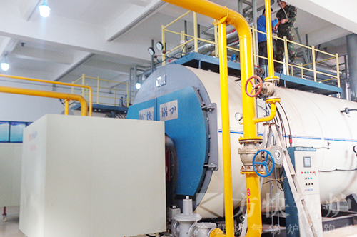 蘑菇传媒视频燃油氣（qì）熱水鍋爐案例